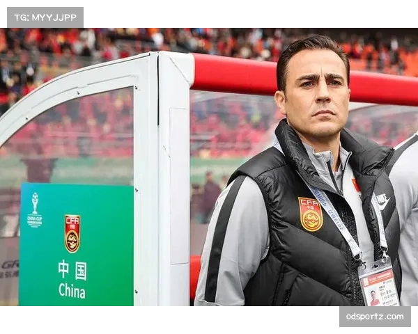 加图索调侃卡纳瓦罗直接进世界杯称我们当时仍在为晋级拼命努力 加图索调侃卡纳瓦罗直接进世界杯称我们当时仍在为晋级拼命努力