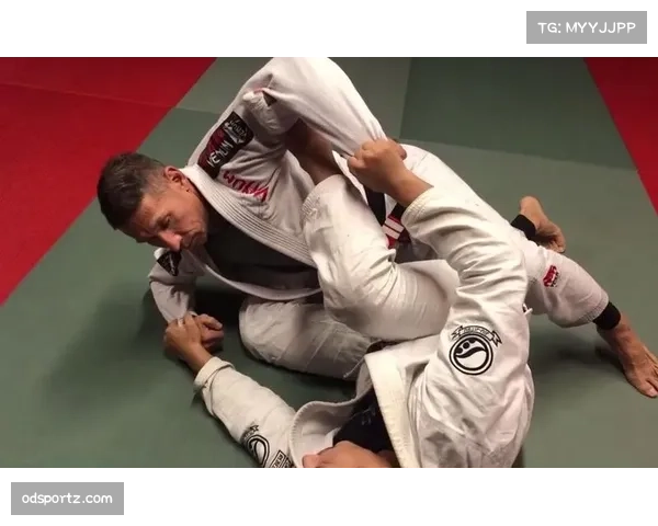 NCAA球队防守策略针对性强休斯顿大学案例研究